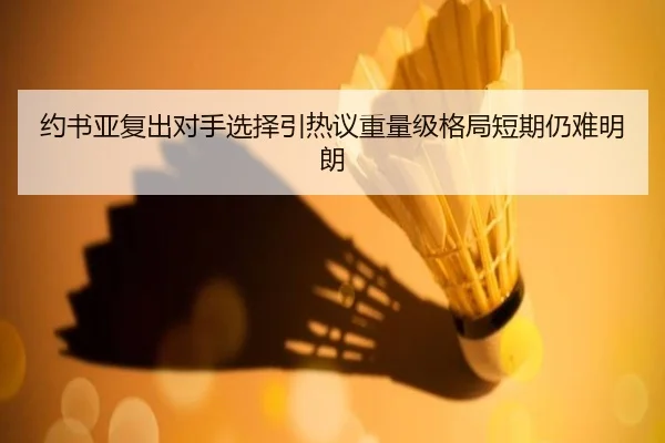 约书亚复出对手选择引热议重量级格局短期仍难明朗